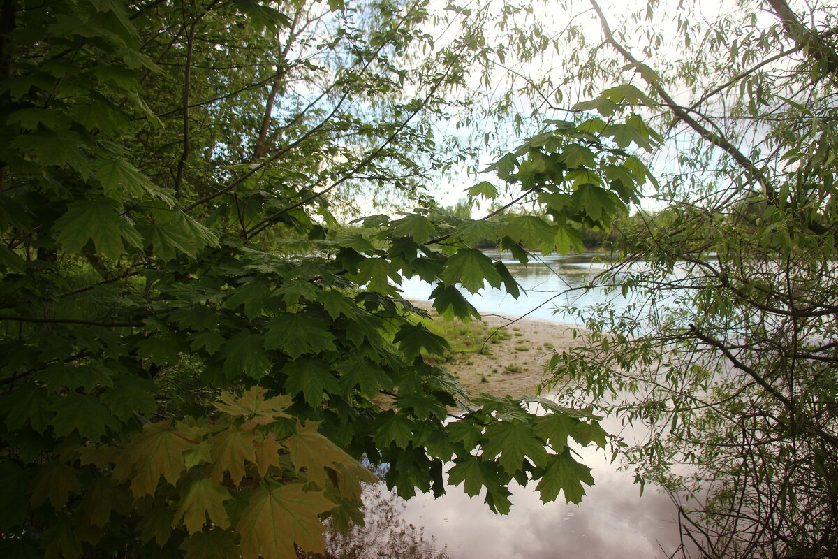 Орловский парк - Наталья Герасимова