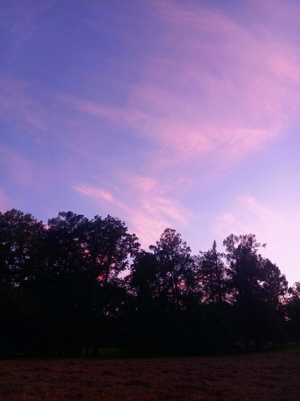 Закат - Сапсан 