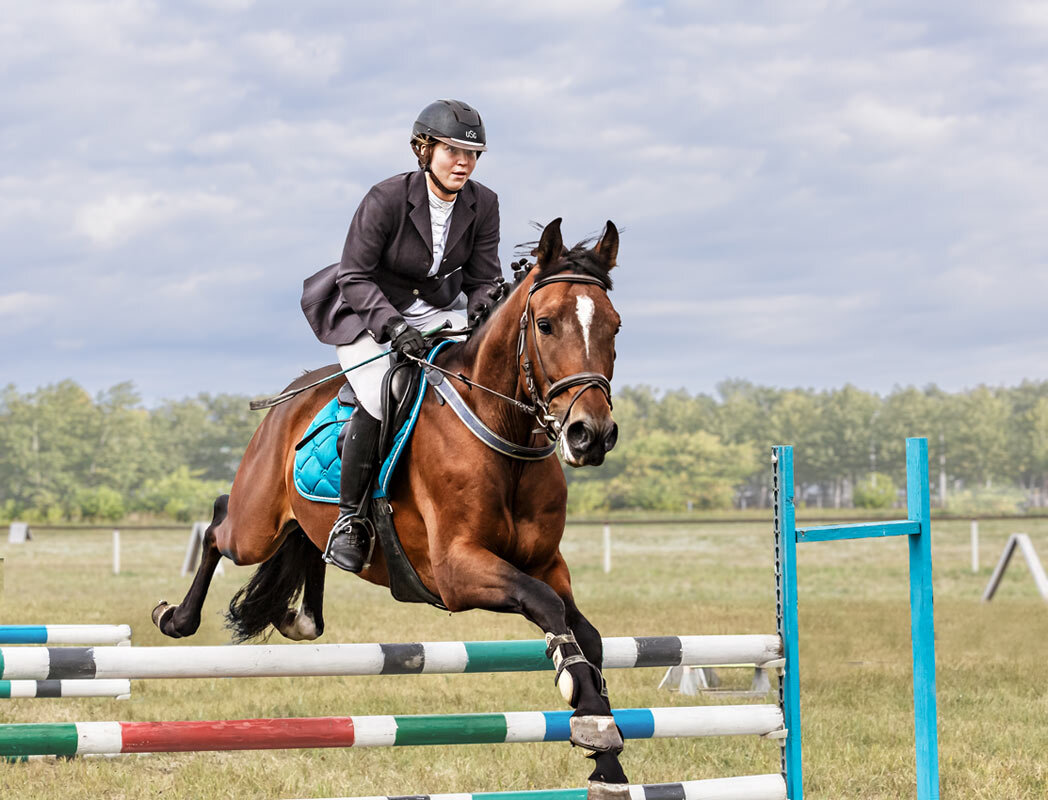 Конкур - SanSan 