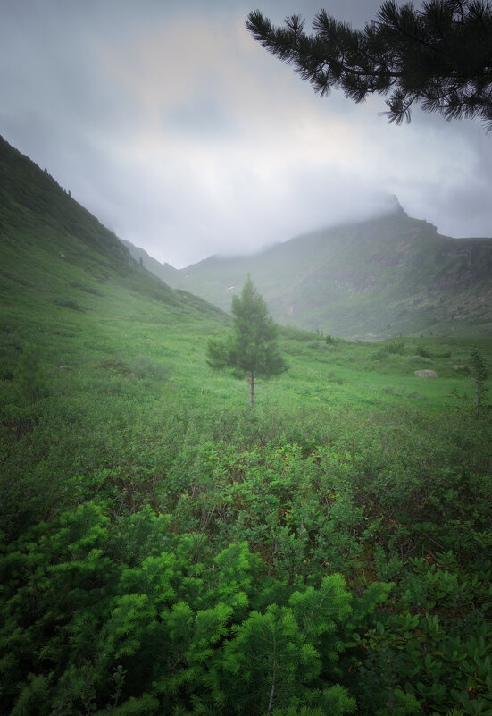 * - Александр Иванов