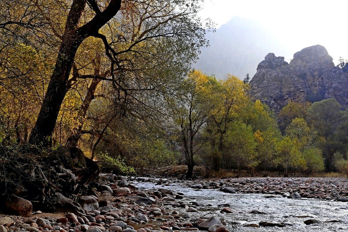 ПО НИЗАМ. - Виктор Осипчук