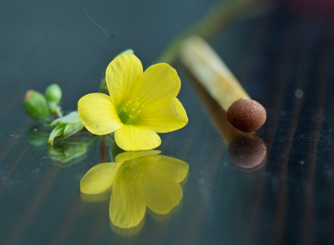 жёлтый малыш... - Андрей Катков жёлтый малыш... - Андрей Катков