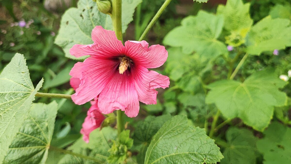 ,,, - Сергей Тимоновский