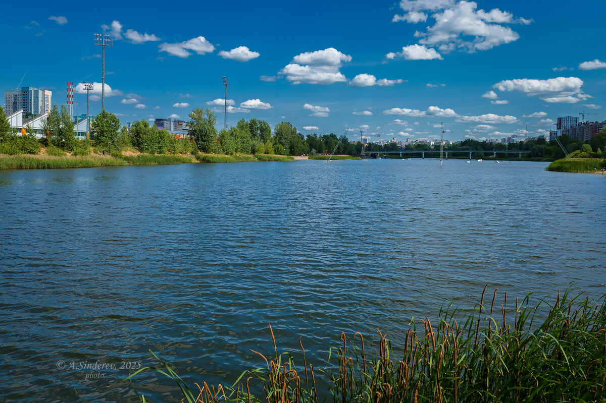 Летняя природа на озере - Александр Синдерёв