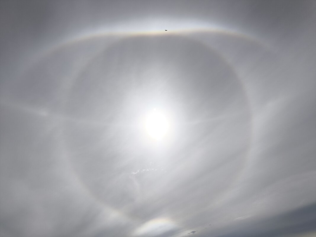 Гало и коршун - Anna Ivanova