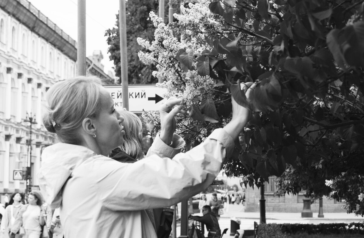 *** - Виктор Никитенко