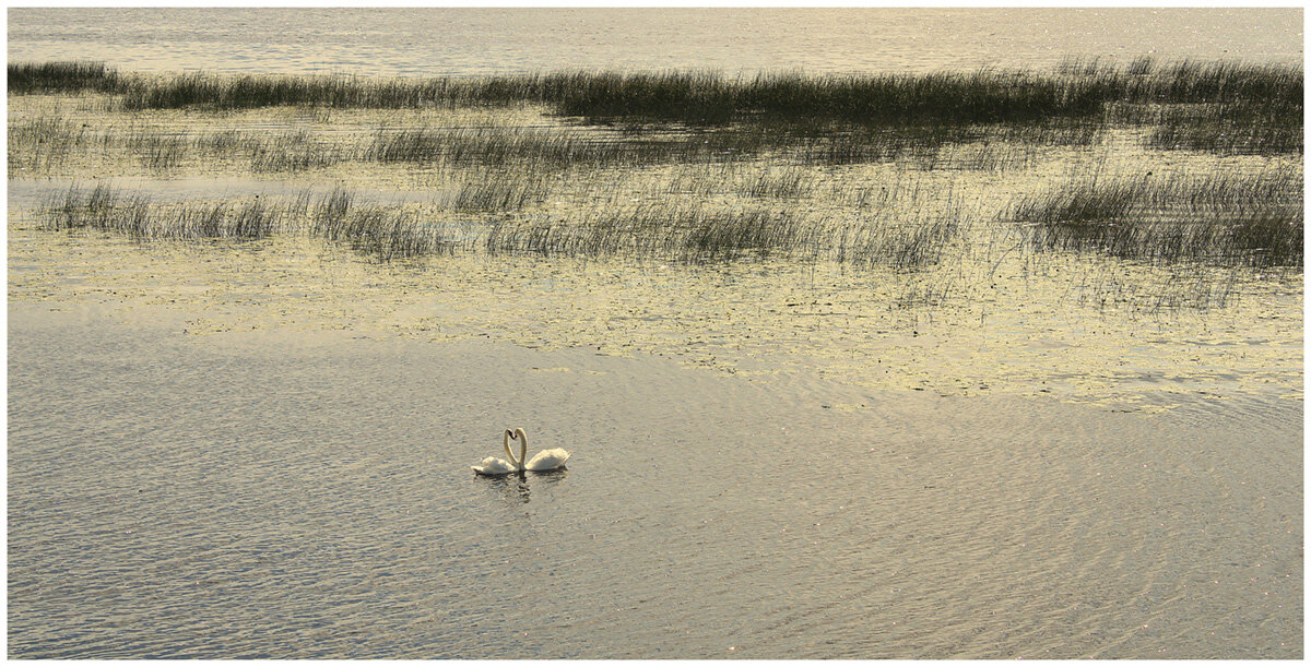 Идиллия... - Aleksandr Gal