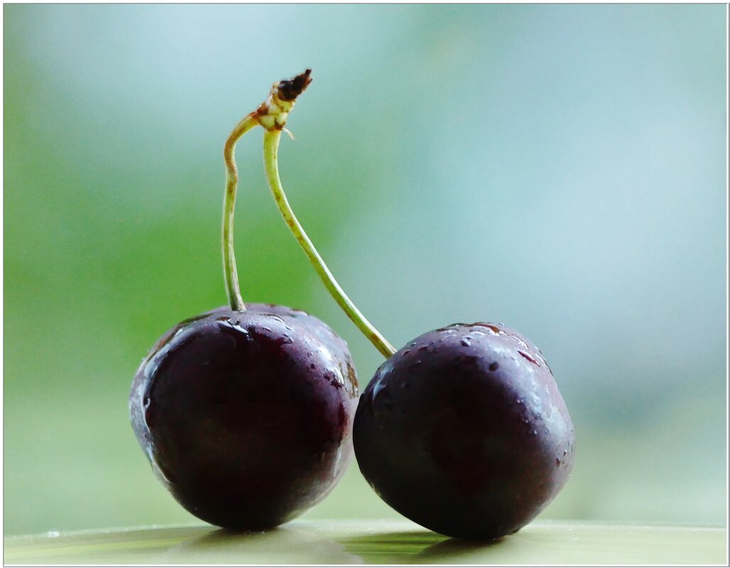 МИНИМАЛИЗМ... - Elvira E. 