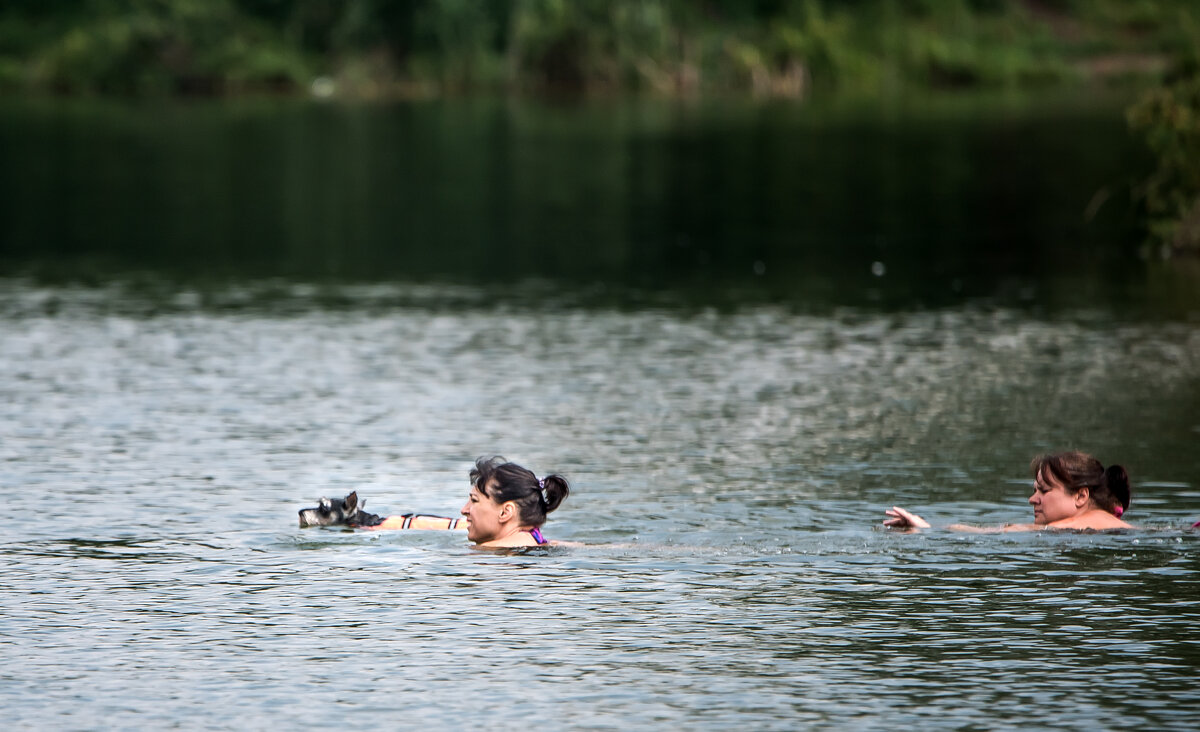 "Чапаев". - Владимир Безбородов
