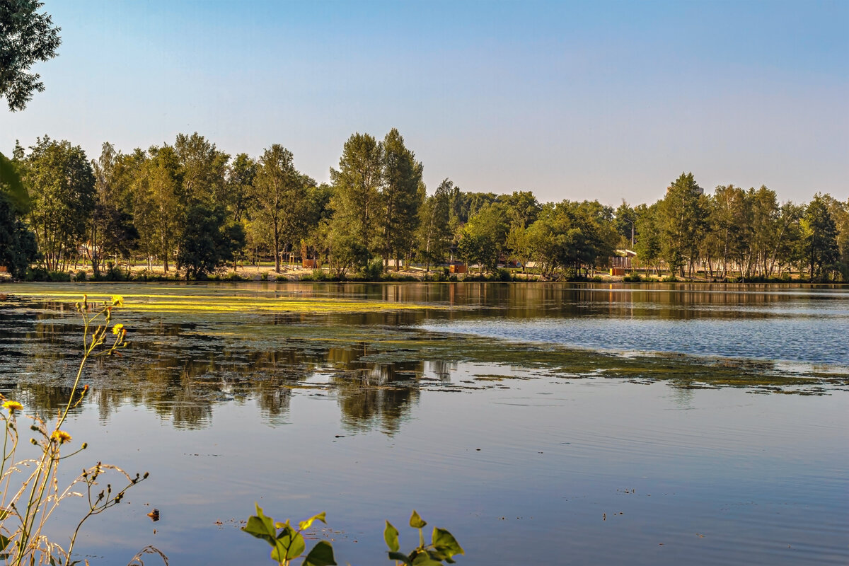 Вид с берега.. - Юрий Стародубцев