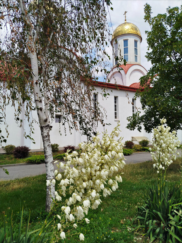 Милый сюжет! - Надежда 
