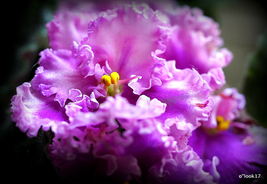 маленькие радости - Олег Лукьянов