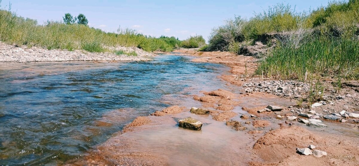 Речка Шурубай Нура - Георгиевич 