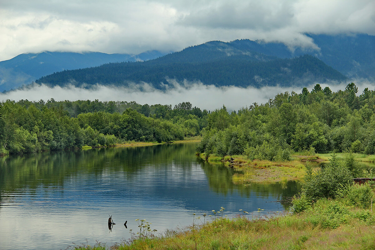 А по-над водою туман расстилается... - Ирина Коледова