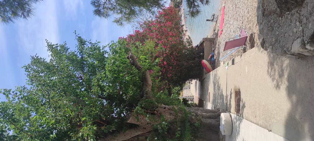 Приморский городок - Светлана Баталий Приморский городок - Светлана Баталий