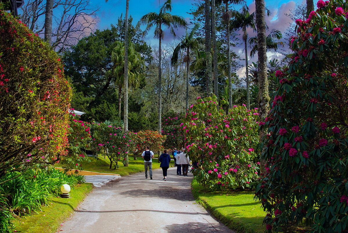 Magic Azores 63 - Arturs Ancans