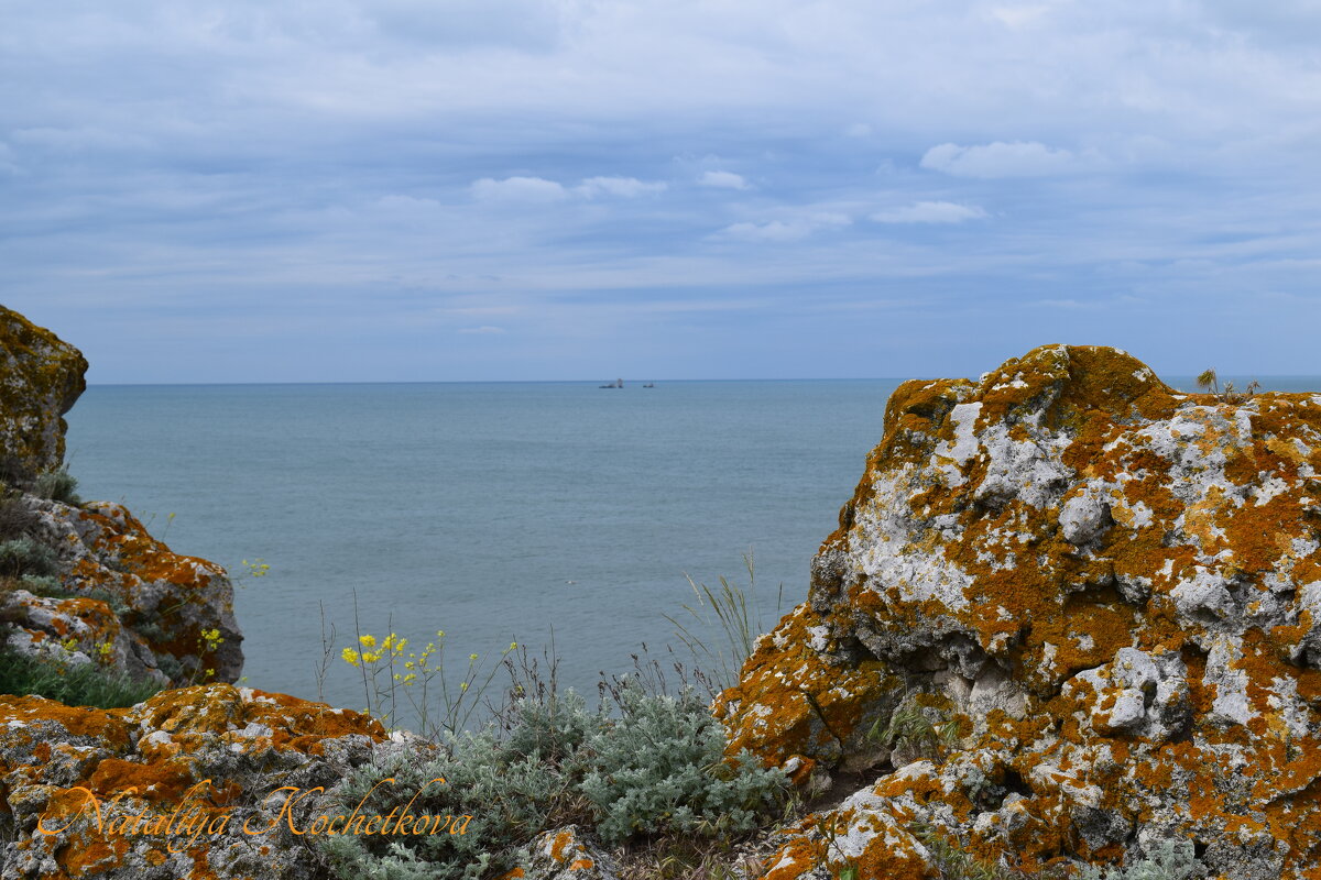 Природа Крыма - Amazing Cosmea