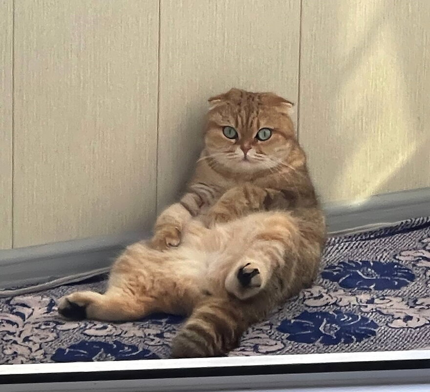 Жарко!!! - Ольга Довженко