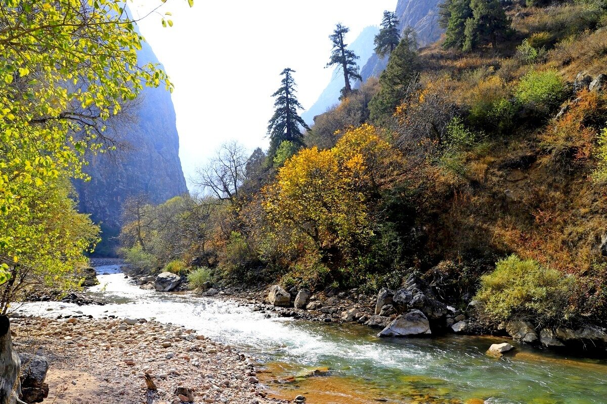 ПО НИЗАМ. - Виктор Осипчук