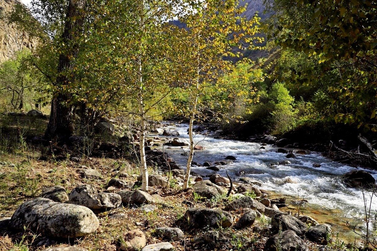 ПО НИЗАМ. - Виктор Осипчук