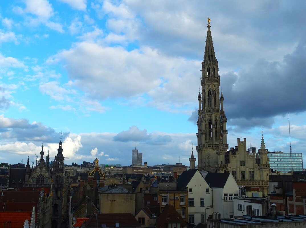 Над крышами Брюсселя. - Aida10 