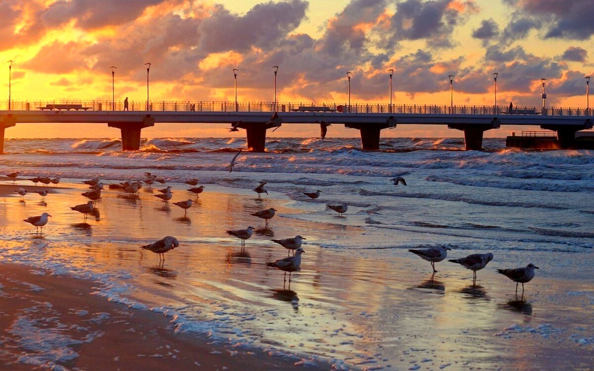 На закате - Юрий. Шмаков