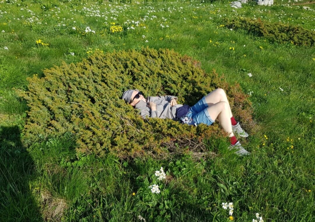 ЛАГОНАКИ - Tata Wolf