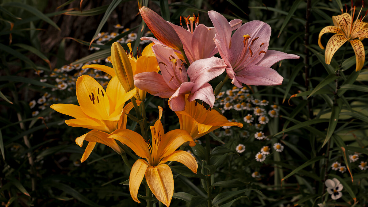 Всё сбудется, стоит только расхотеть. - Вадим Басов