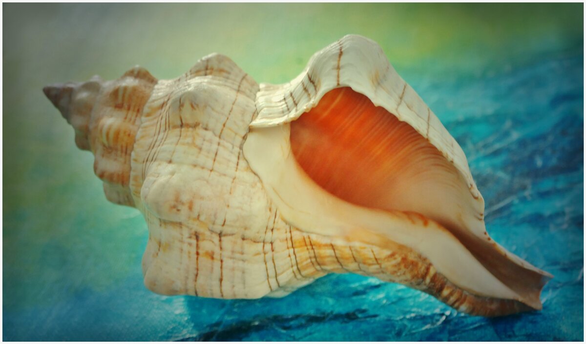 ЭТЮД... - Elvira E. ЭТЮД... - Elvira E.