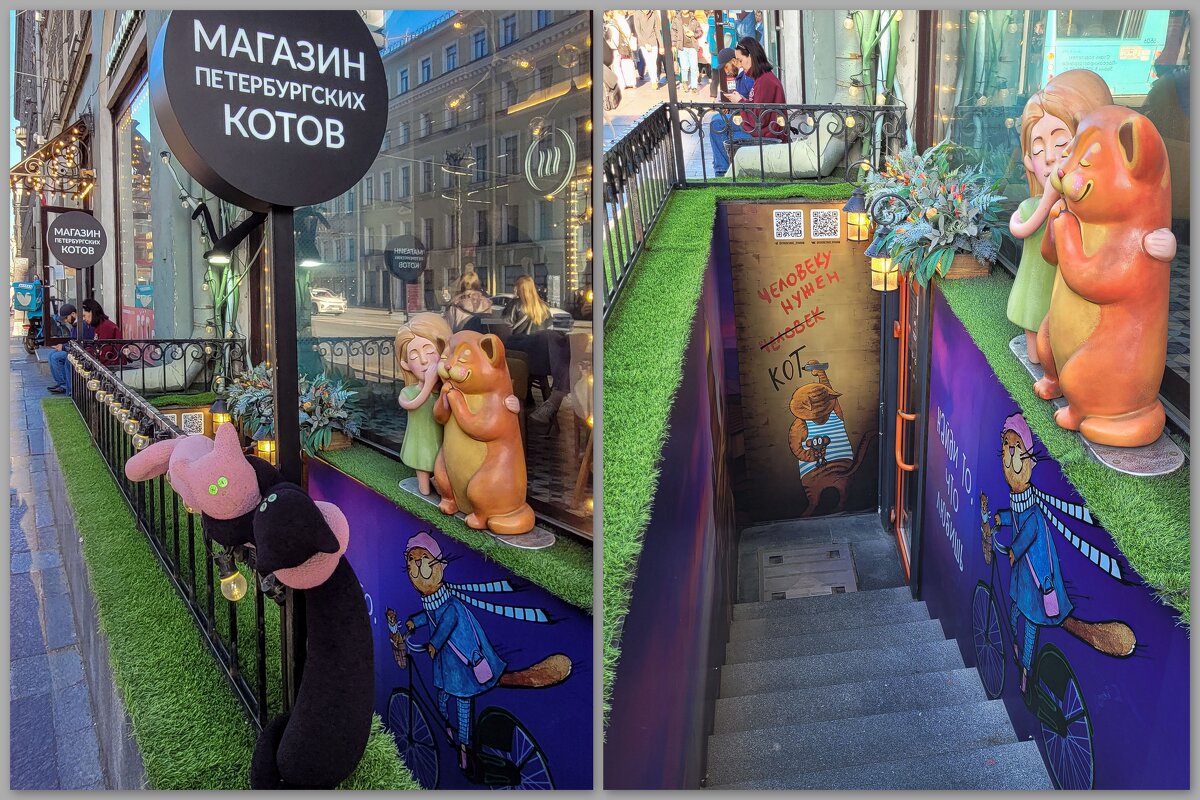 Магазин Петербургских котов (Невский проспект д.5 в подвале исторического здания.) - Татьяна Машошина