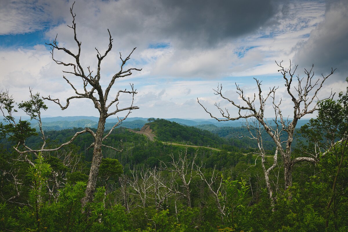 Перевал. Вид на запад с горы Черкес - Alexander Fedotov