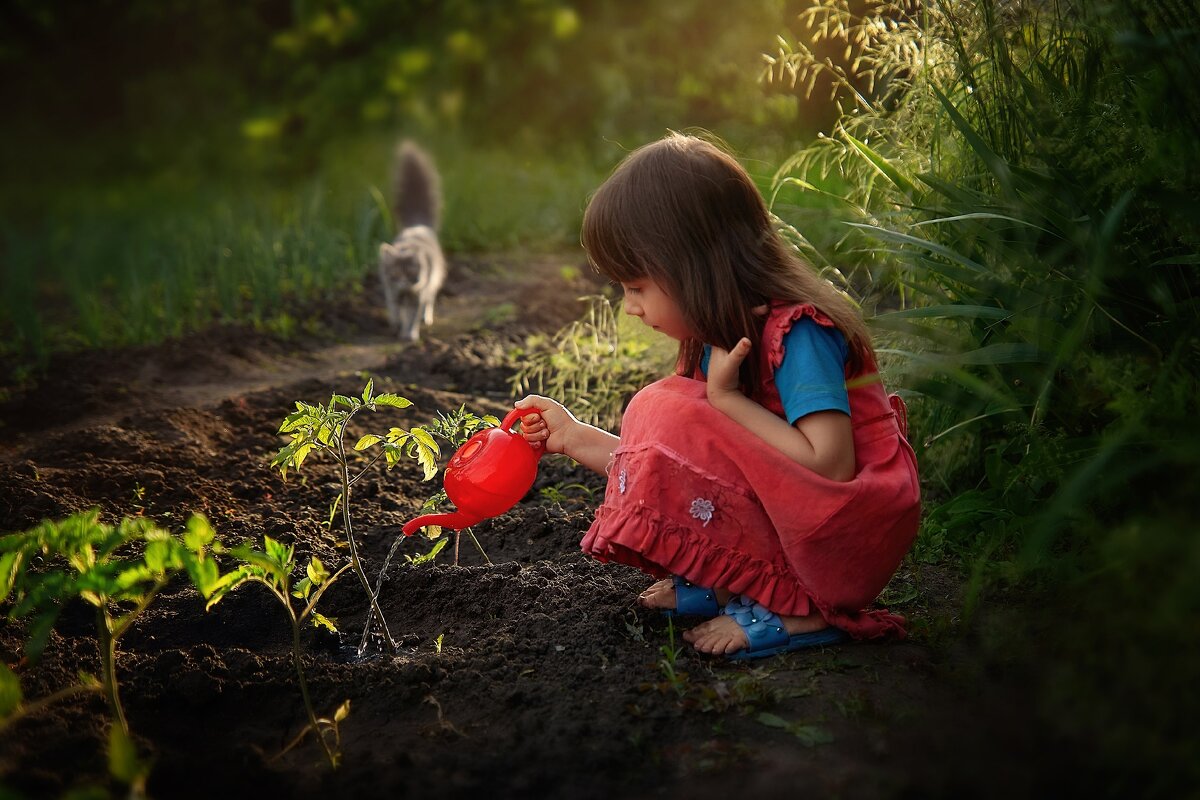 Хозяюшка - Олег Иванов