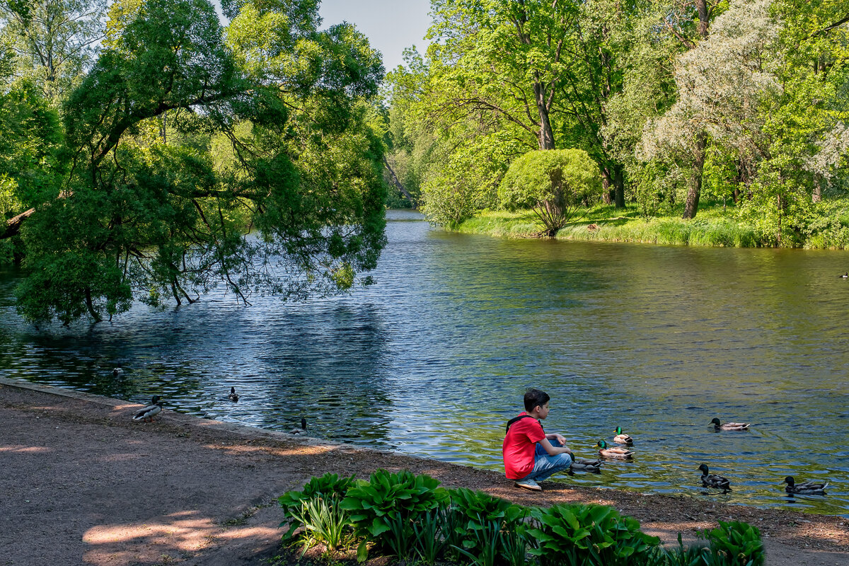 ЦПКО "Елагин остров" - Сергей Шатохин ЦПКО "Елагин остров" - Сергей Шатохин