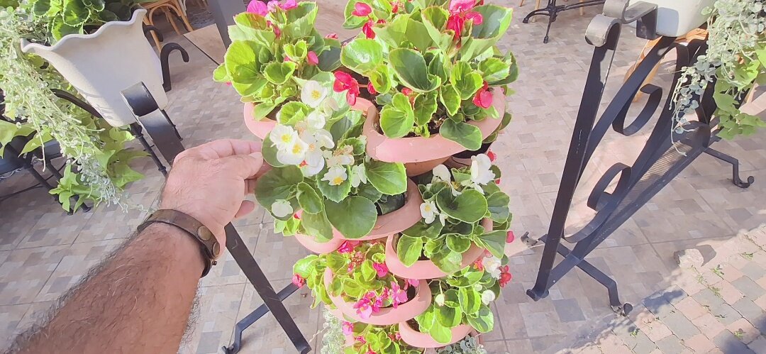 ЛЕ БО 4 (21) - CLOSE WAYS ALL