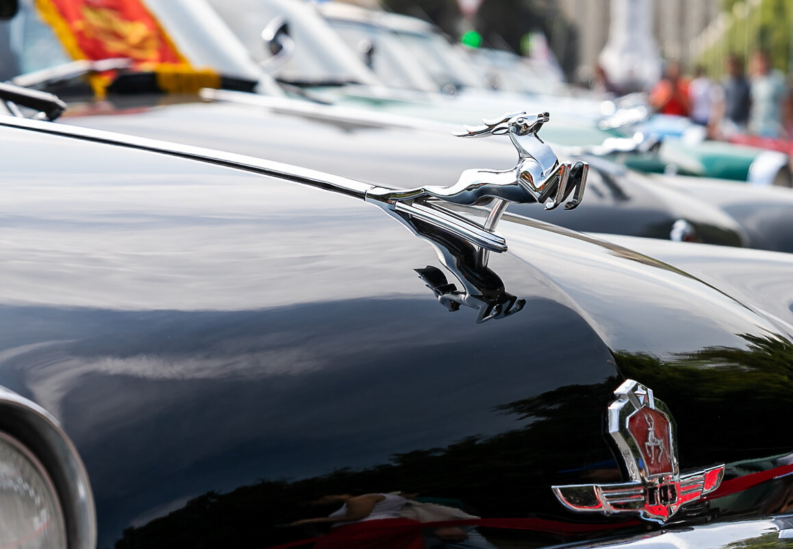 Олень - Александр 