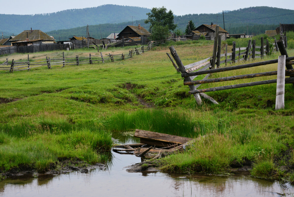 * - Наталья Покацкая
