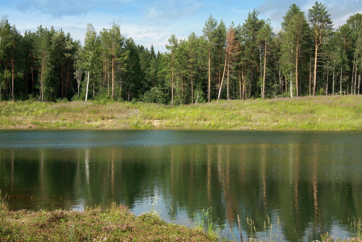 Зеленоглазое лето - Нэля Лысенко Зеленоглазое лето - Нэля Лысенко