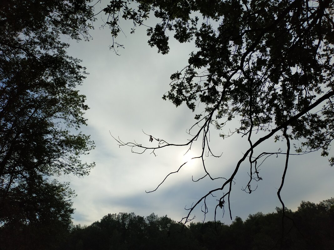 Накануне моих 70-ти - Андрей Лукьянов