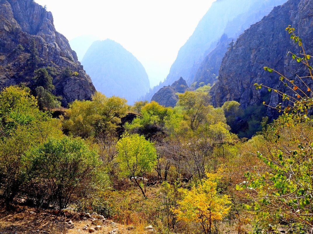 ПО НИЗАМ. - Виктор Осипчук