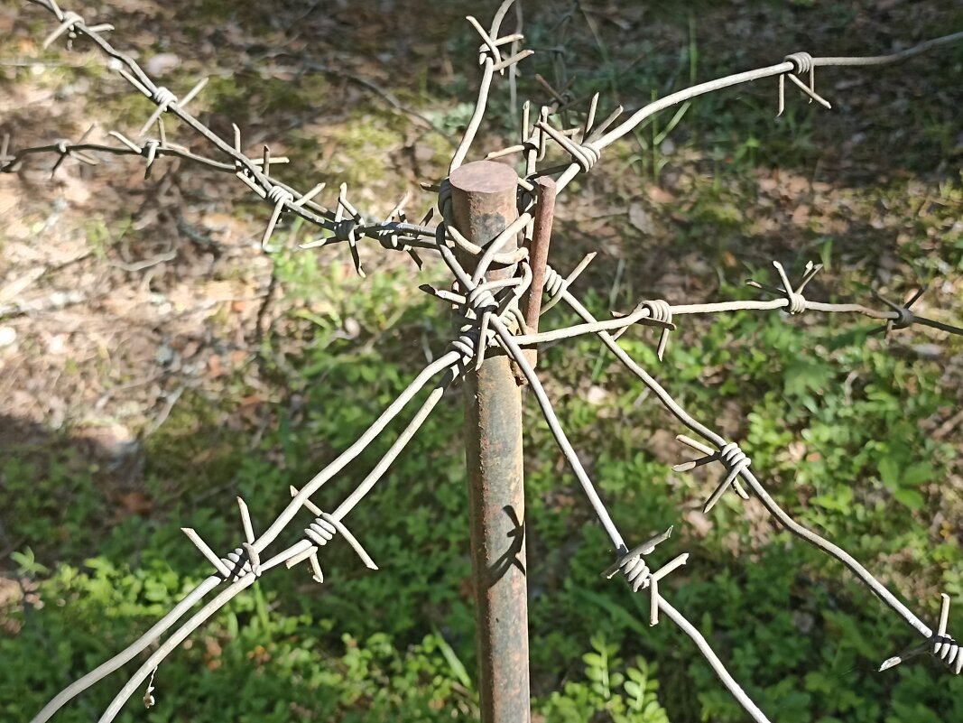 Миру - мир! - Pippa 