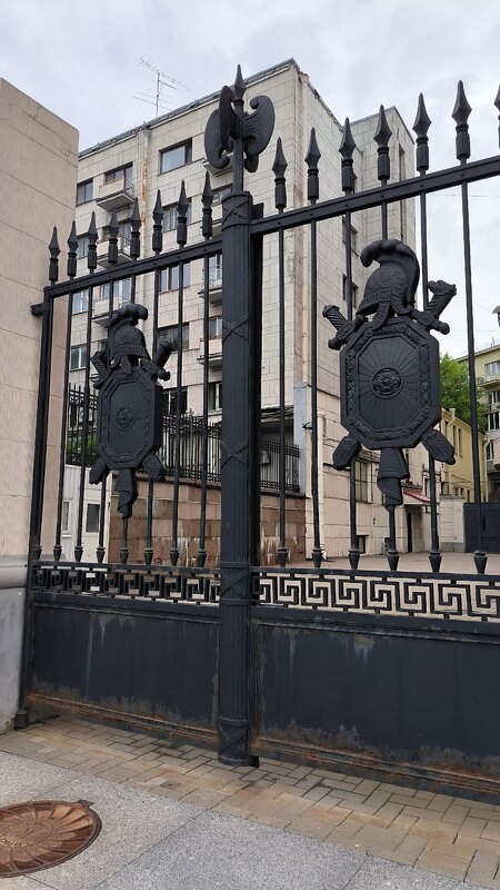 Петербург в деталях. Решетки. - Ольга Петербург в деталях. Решетки. - Ольга