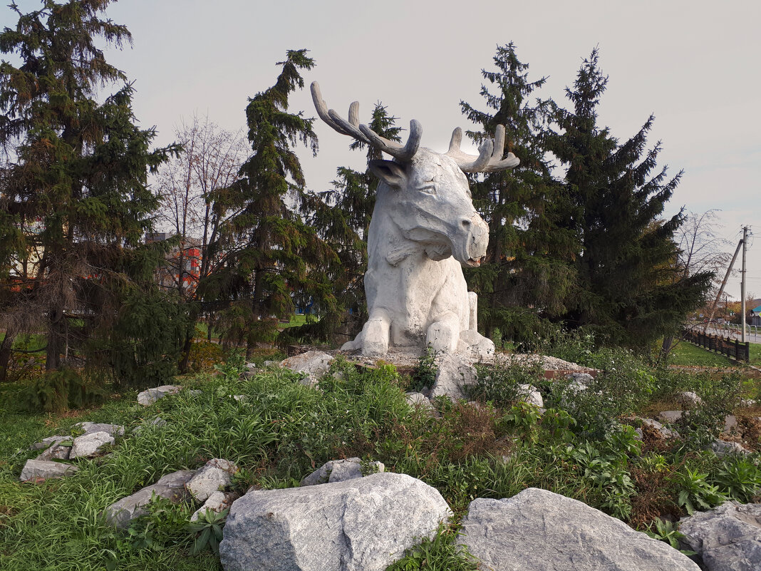 На площади - Дмитрий Петров