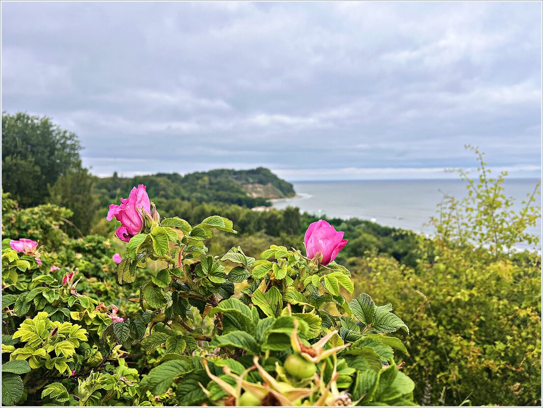 ********** - Валерия Комова ********** - Валерия Комова