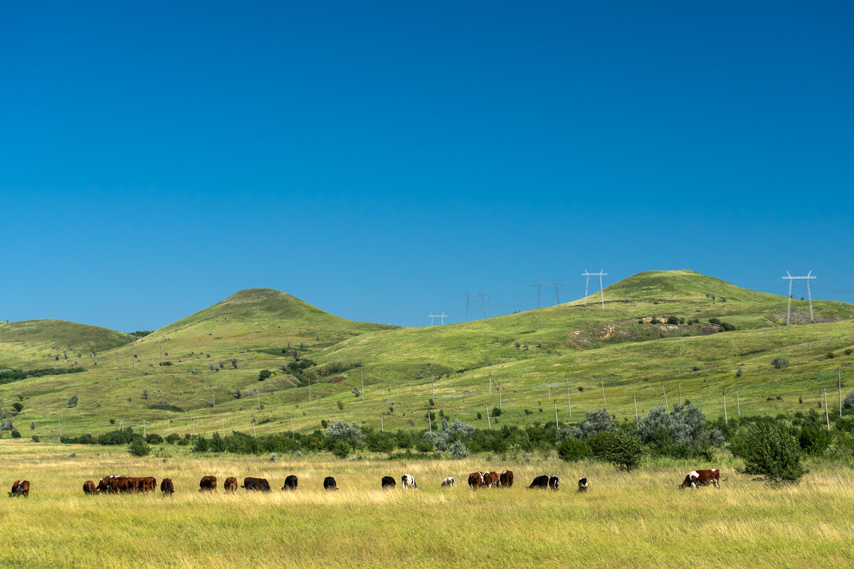 Окрестности - Игорь Сикорский Окрестности - Игорь Сикорский