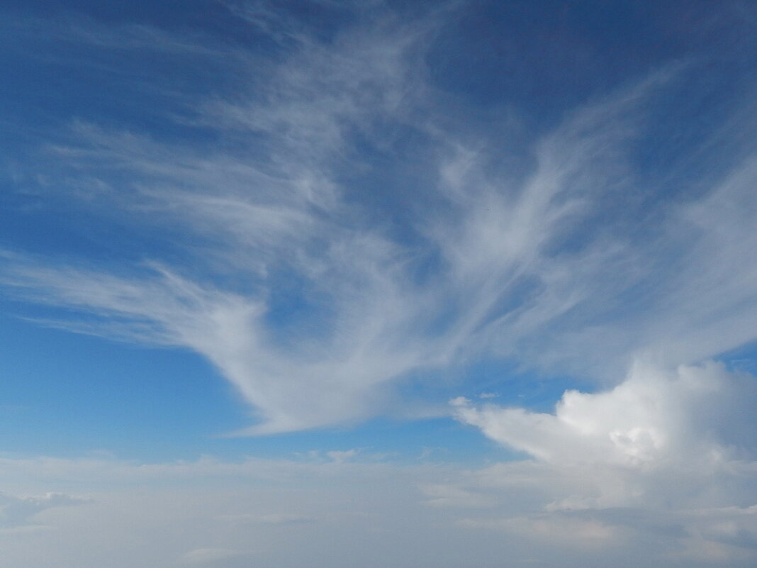 Полет над облаками - Сергей Швечков