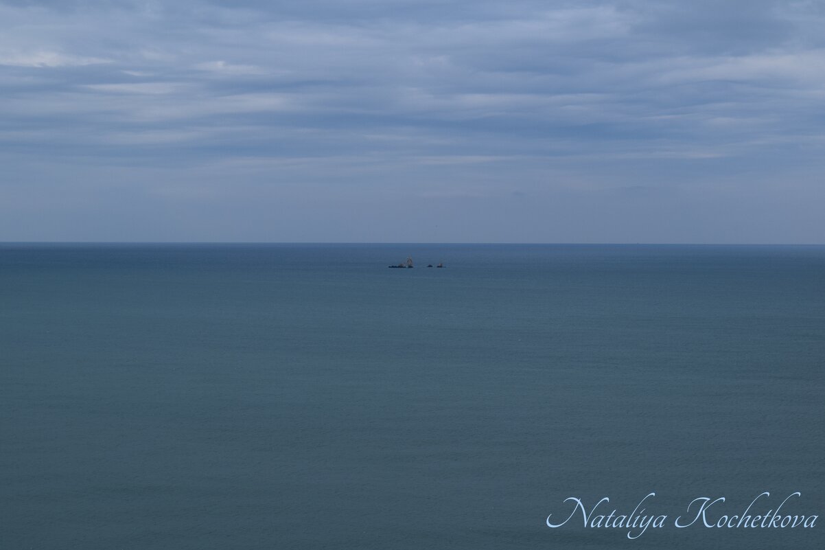 Природа Крыма - Amazing Cosmea