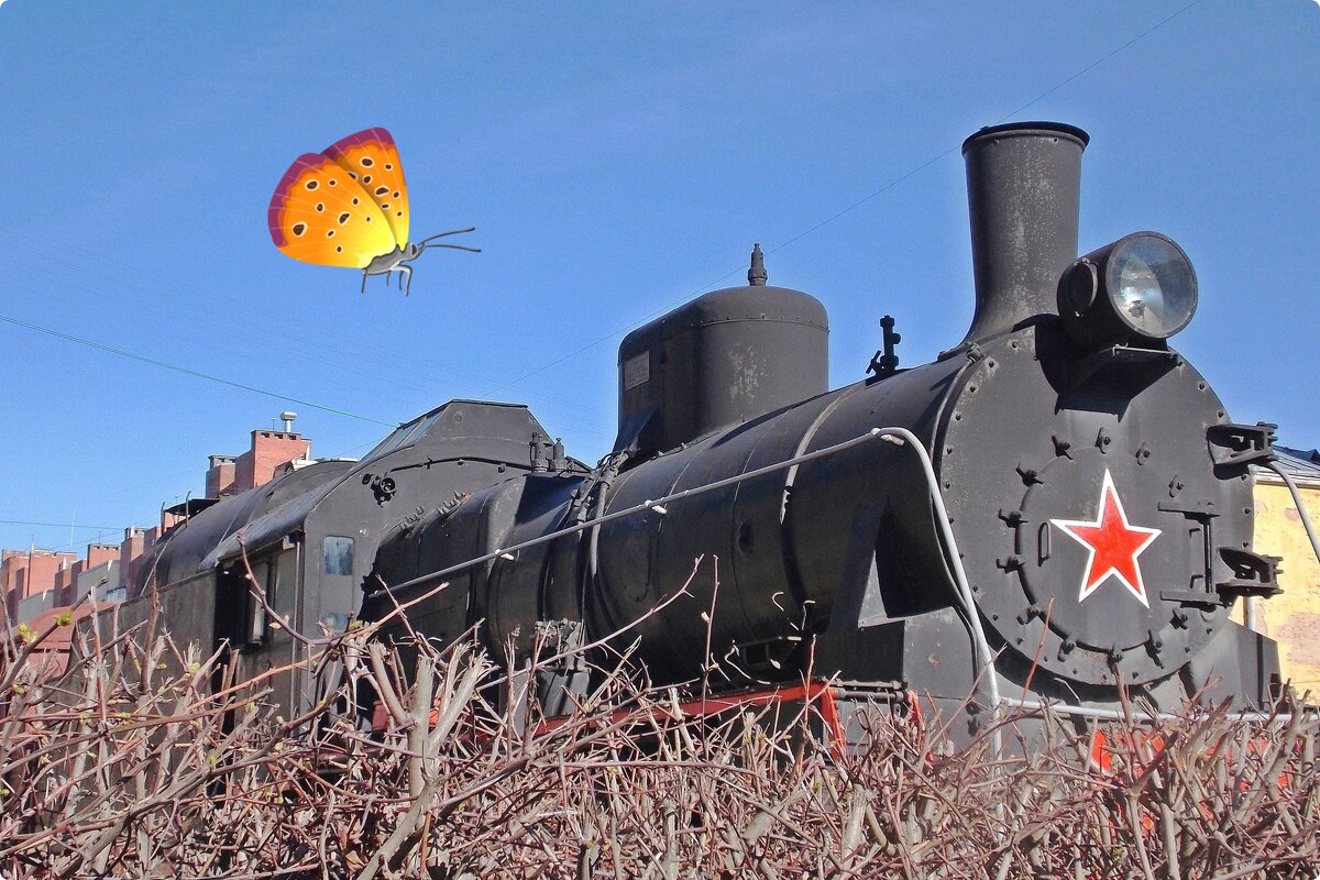 Бабочка   и  паровоз - Фотогруппа Весна