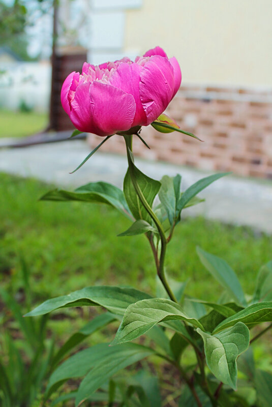 ... - Наталья 