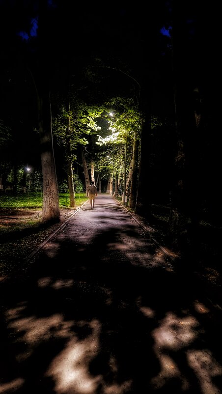 Вглубь таинственных аллей - Renkse L.J.