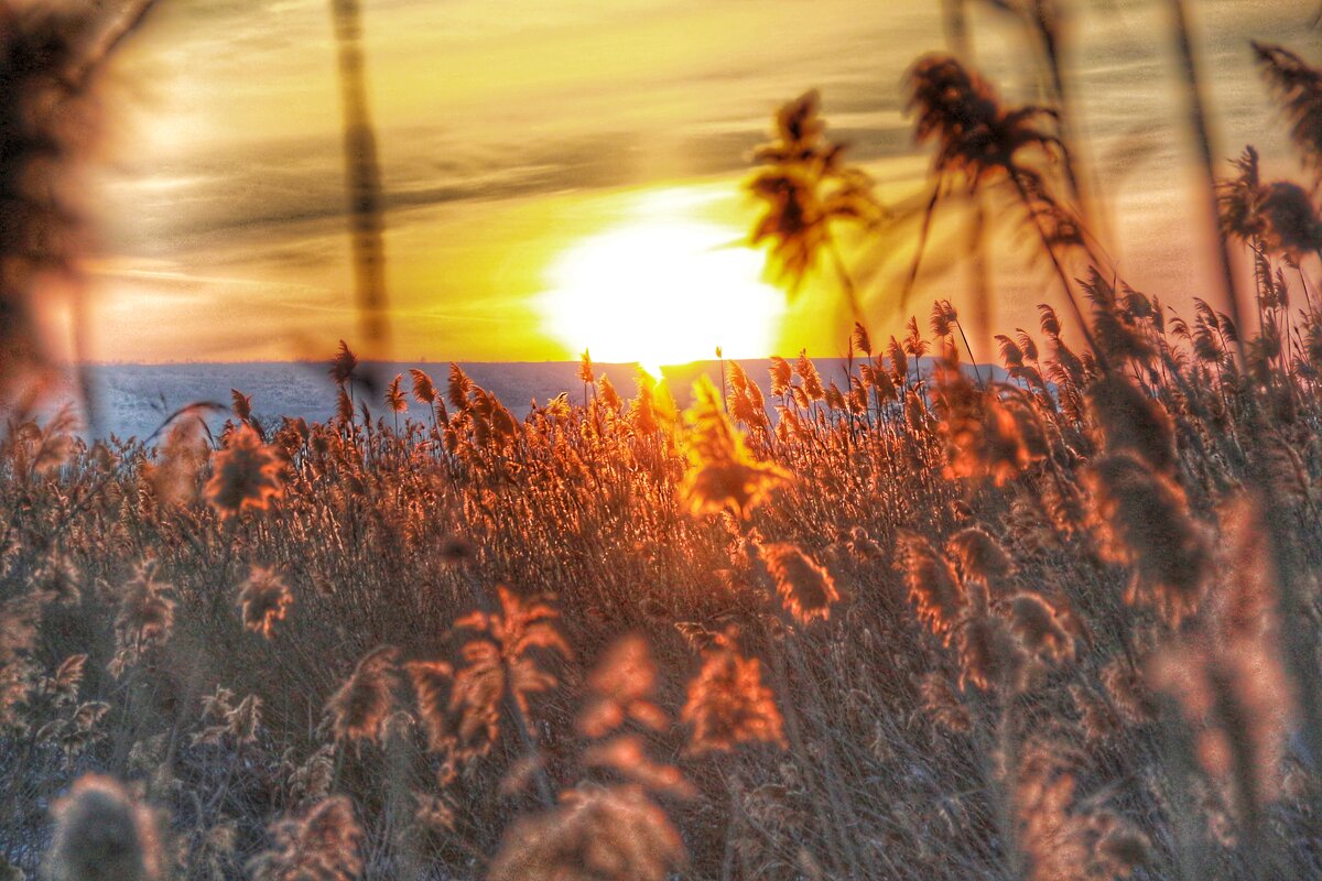 Закат - Renkse L.J.